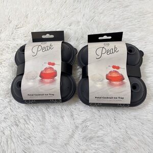 Set of 2 W&p Peak petal cocktail ice tray in charcoal grey